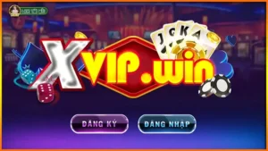 xvip-win-55